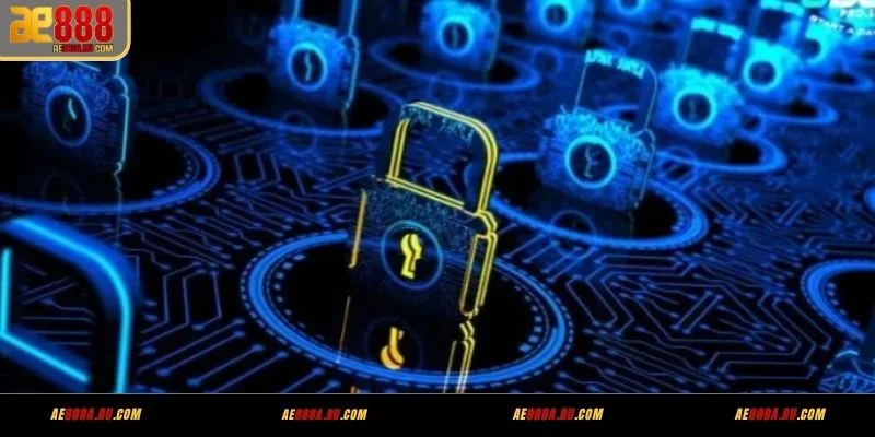 Phạm vi thu thập dữ liệu theo chính sách quyền riêng tư AE888