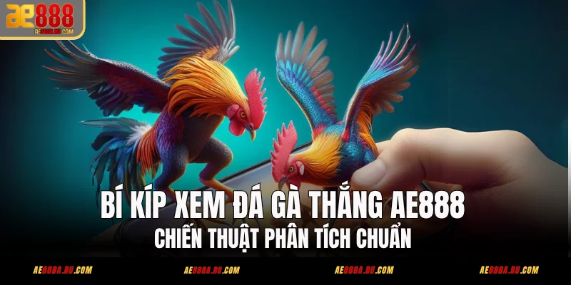 Bí Kíp Đá Gà AE888 Lên Kèo Thắng Đậm – 5 Mẹo Khi Xem Trận 1 Bí Kíp Xem Đá Gà Thắng AE888 - Chiến Thuật Phân Tích Chuẩn