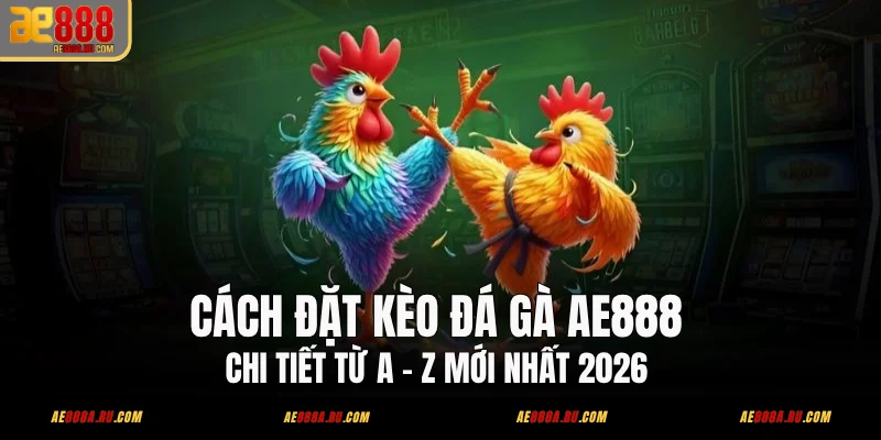 Cách Đặt Kèo Đá Gà AE888 Chi Tiết Từ A - Z Mới Nhất 2026