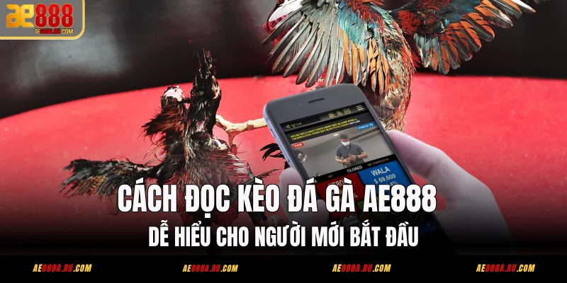 Cách Đọc Kèo Đá Gà AE888 Dễ Hiểu Cho Người Mới Bắt Đầu