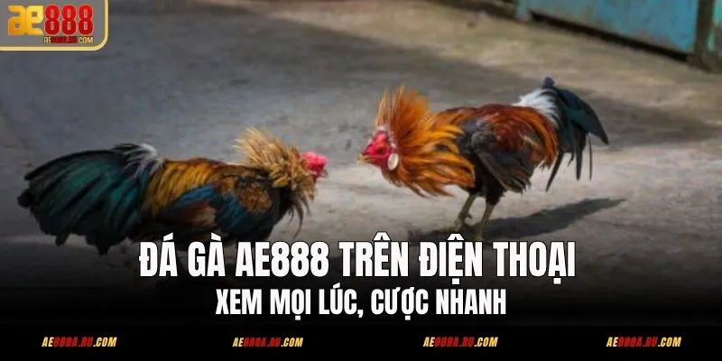 Đá Gà AE888 Trên Điện Thoại – Xem Mọi Lúc, Cược Nhanh