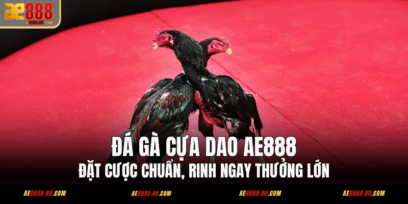 Đá Gà Cựa Dao AE888 - Đặt Cược Chuẩn, Rinh Ngay Thưởng Lớn