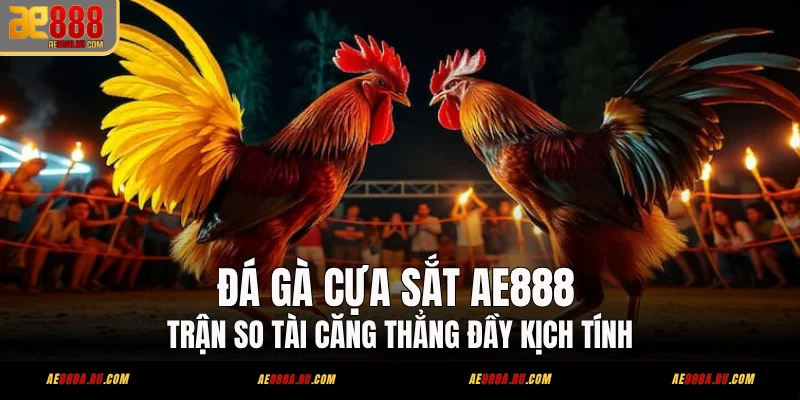 Đá Gà Cựa Sắt AE888 - Trận So Tài Căng Thẳng Đầy Kịch Tính