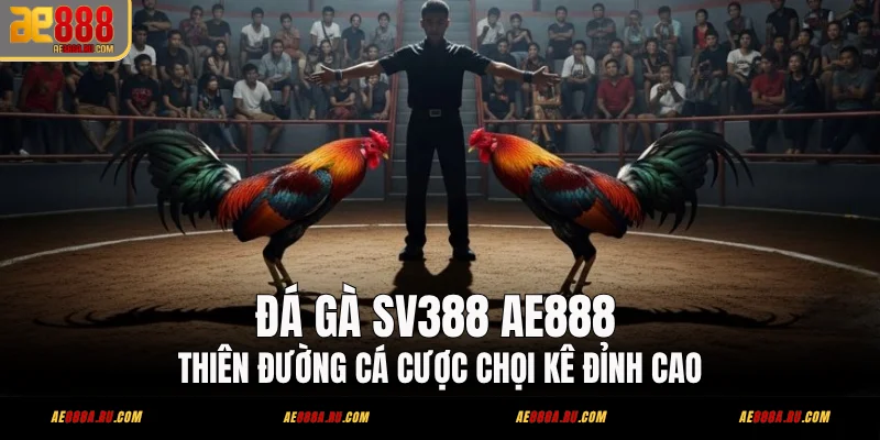 Đá Gà SV388 AE888 - Thiên Đường Cá Cược Chọi Kê Đỉnh Cao