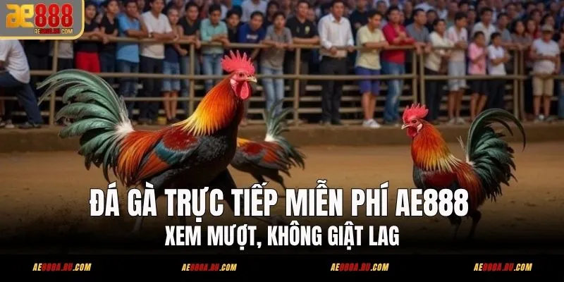 Đá Gà Trực Tiếp Miễn Phí AE888 – Xem Stream 5 Sảnh 1 Đá Gà Trực Tiếp Miễn Phí AE888 – Xem Mượt, Không Giật Lag