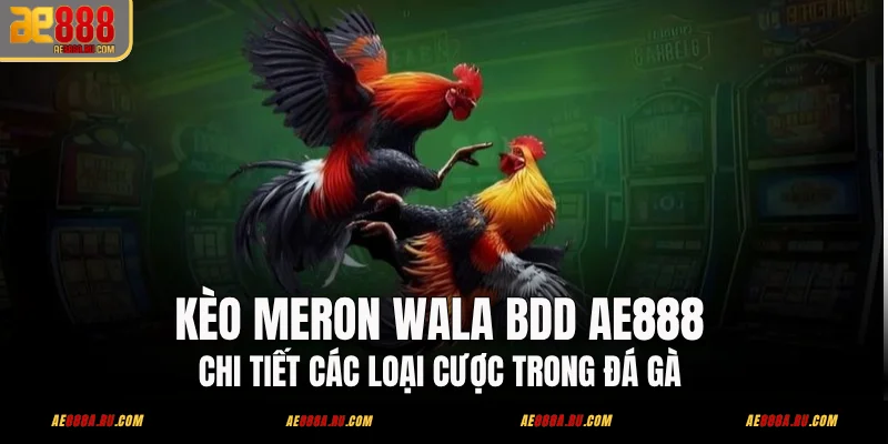 Kèo Meron Wala BDD AE888 - Chi Tiết Các Loại Cược Trong Đá Gà