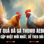 Kết Quả Đá Gà Thomo AE888 - Cập Nhật Mới Nhất, Dễ Theo Dõi