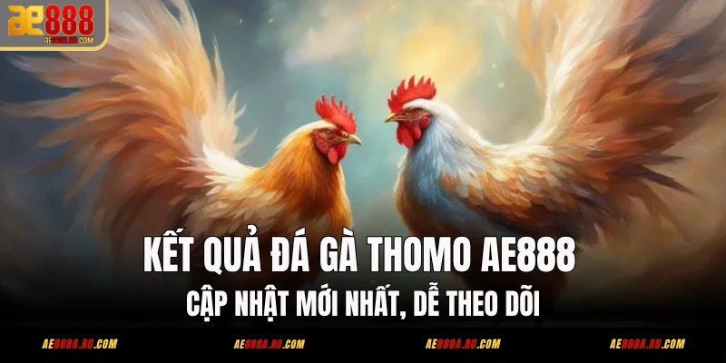 Kết Quả Đá Gà Thomo AE888 - Cập Nhật Mới Nhất, Dễ Theo Dõi