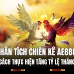 Phân Tích Chiến Kê AE888 - Cách Thực Hiện Tăng Tỷ Lệ Thắng