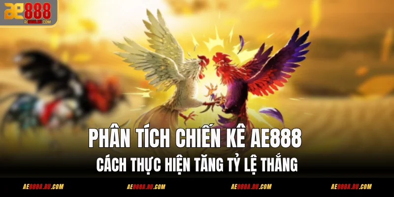 Phân Tích Chiến Kê AE888 - Cách Thực Hiện Tăng Tỷ Lệ Thắng