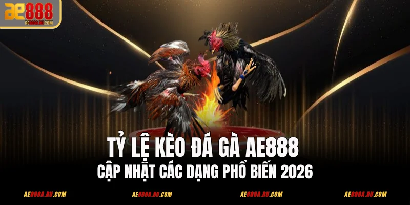 Tỷ Lệ Kèo Đá Gà AE888 - Cập Nhật Các Dạng Phổ Biến 2026