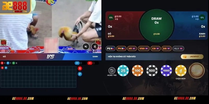 So sánh app AE888 vs browser mobile khi xem đá gà AE888 trên điện thoại