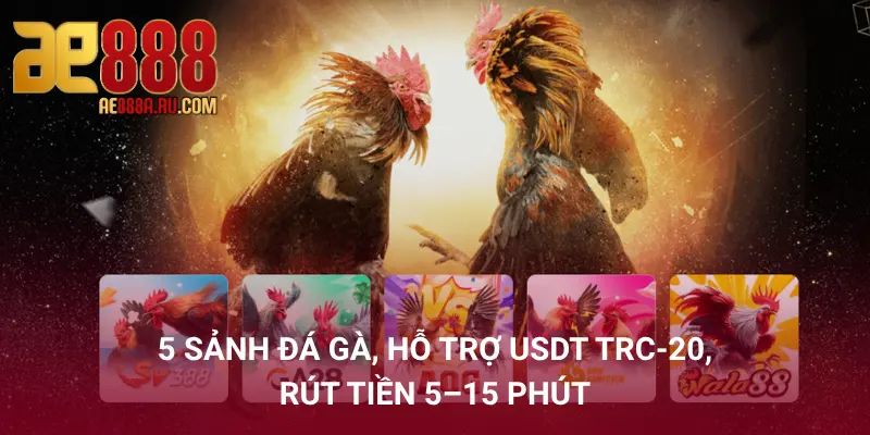 So Sánh AE888 Vs Đối Thủ – 8 Tiêu Chí Khách Quan 3 3 điểm AE888 vượt trội so với tiêu chuẩn ngành